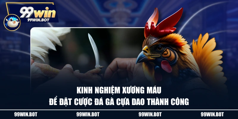 Đá Gà Cựa Dao Và Những Kiến Thức Cơ Bản Dành Cho Tân Thủ 3 Kinh nghiệm xương máu để đặt cược đá gà cựa dao thành công
