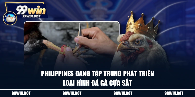 Đá Gà Cựa Sắt - Tổng Hợp Các Tin Tức Hay Trong Ngày 2 Philippines đang tập trung phát triển loại hình đá gà cựa sắt