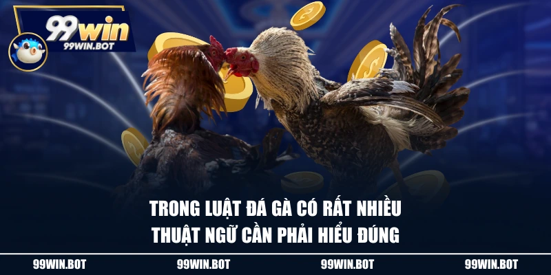 Thuật Ngữ Đá Gà Hiểu Thế Nào? Tổng Hợp Thông Tin Hữu Ích 3 Trong luật đá gà có rất nhiều thuật ngữ cần phải hiểu đúng